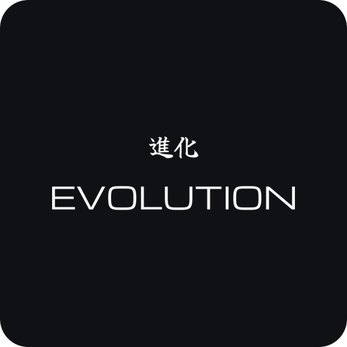 Evolution 進化 - rezaná nálepka na auto