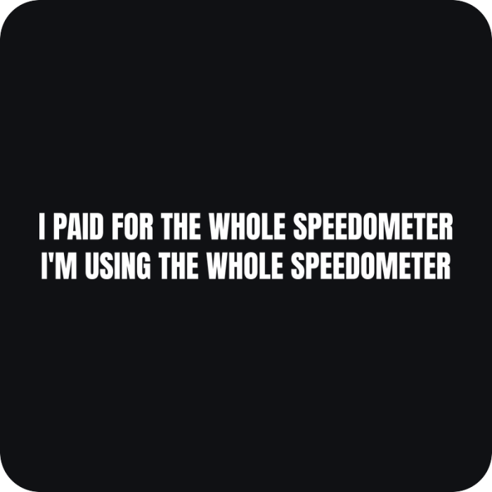 Nálepka I Paid for the Whole Speedometer - rezaná nálepka na auto