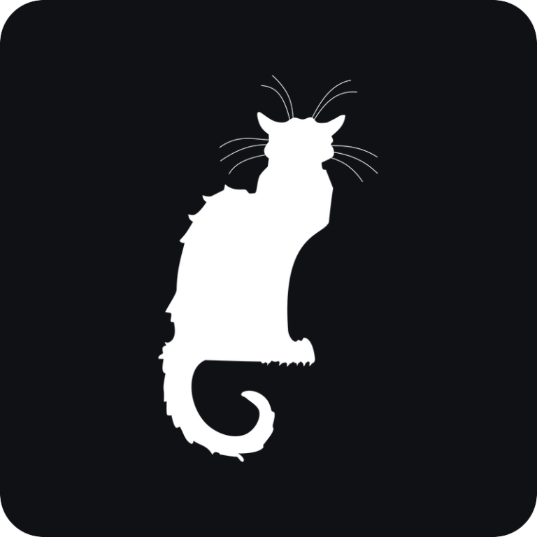 Nálepka Le Chat Noir na auto