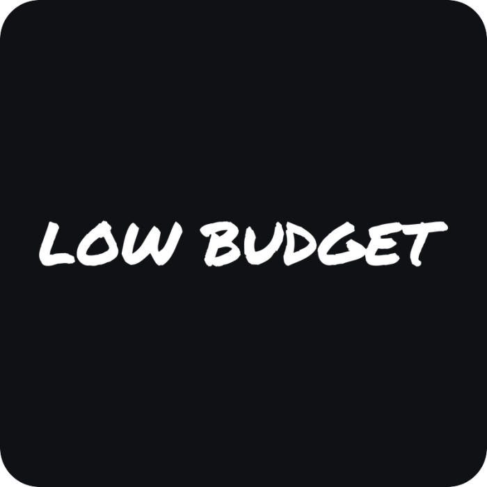 Low Budget - rezaná nálepka na auto