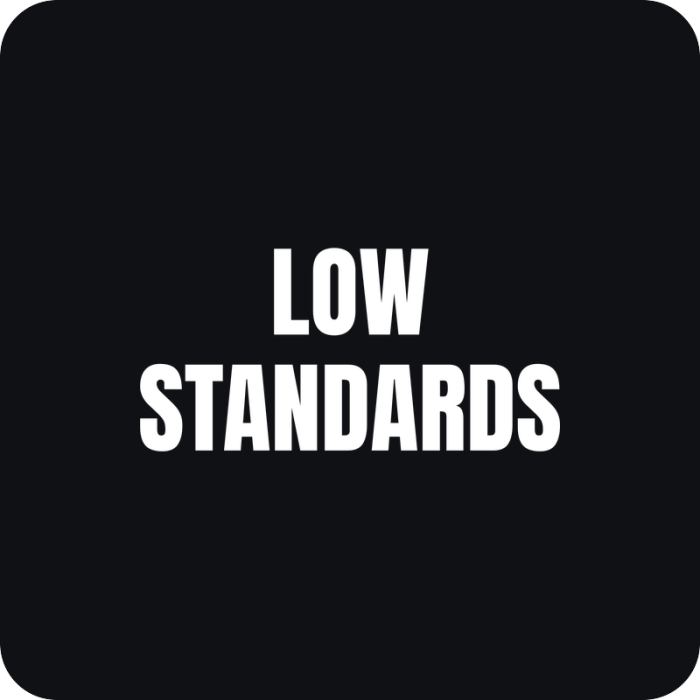 Nálepka Low Standards - rezaná nálepka na auto