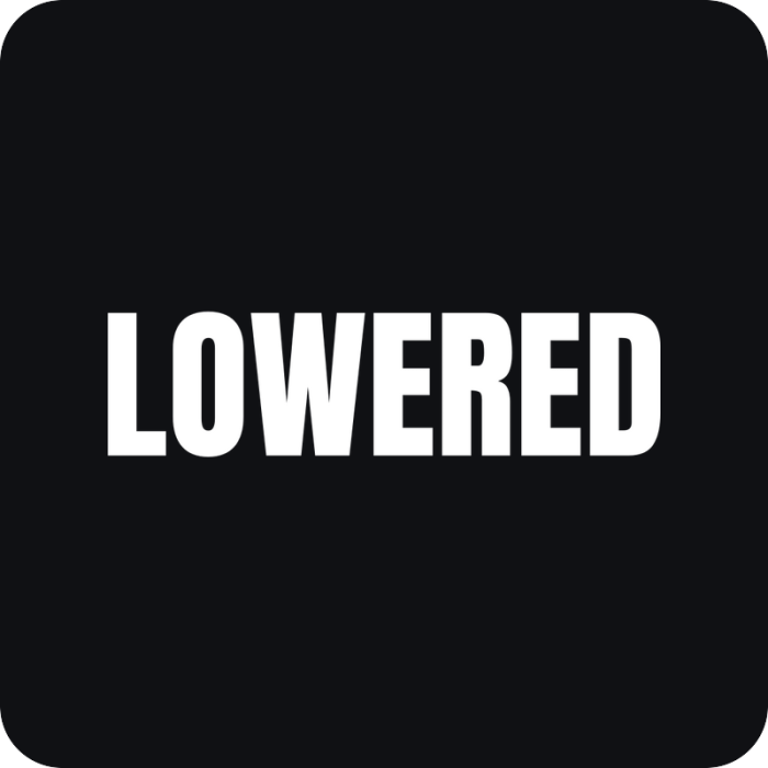 Nálepka Lowered - rezaná nálepka na auto