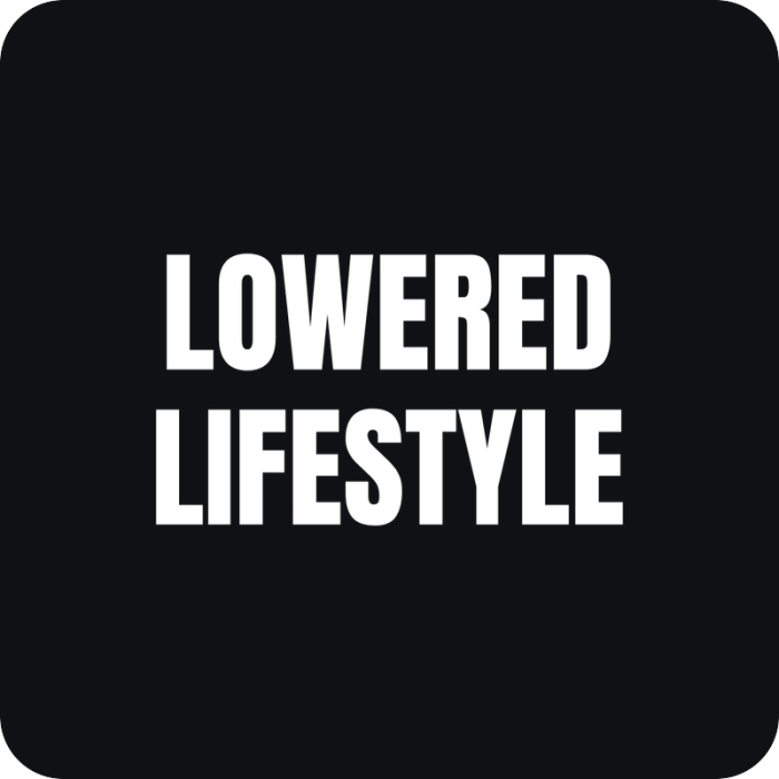 Nálepka Lowered Lifestyle - rezaná nálepka na auto
