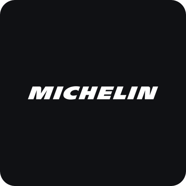 Nálepka Michelin nápis na auto