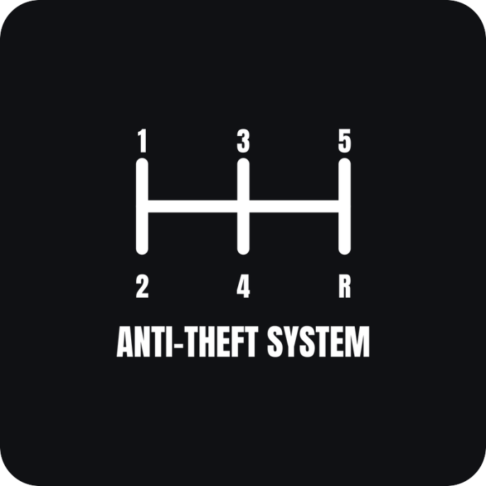 Anti-Theft System - rezaná nálepka na auto
