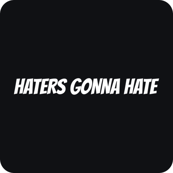 Haters Gonna Hate - rezaná nálepka na auto
