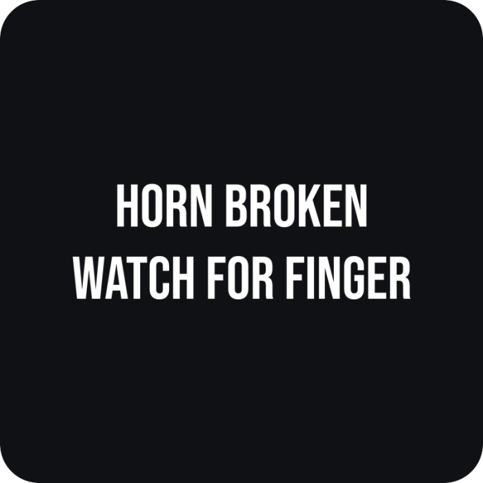Horn Broken - rezaná nálepka na auto