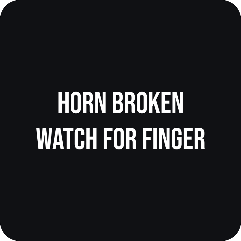 Horn Broken Horn Broken - rezaná nálepka na auto