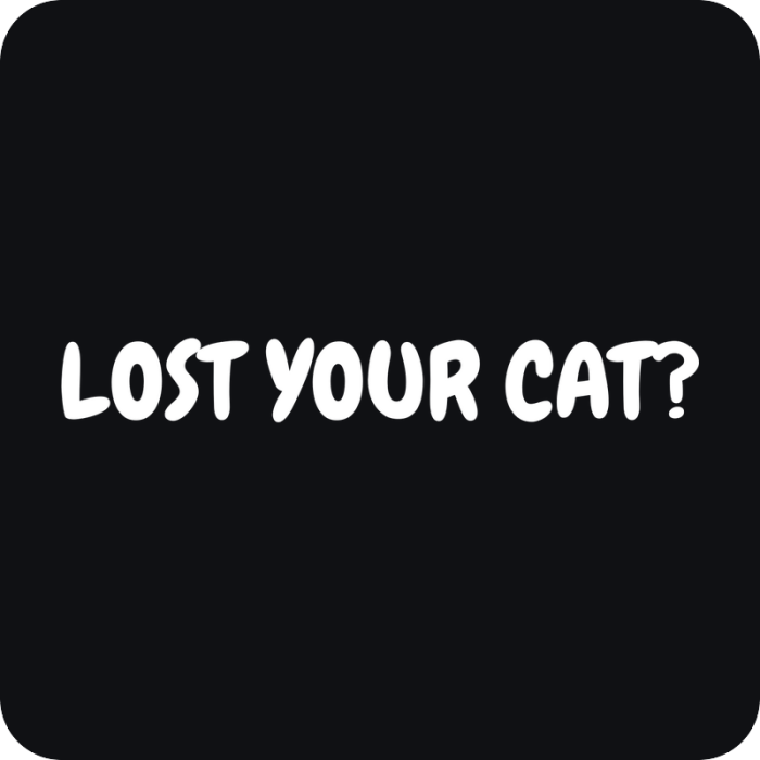 Lost Your Cat? - rezaná nálepka na auto