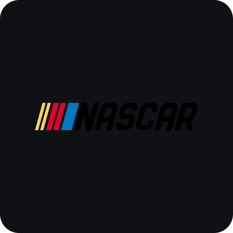 Nálepka NASCAR logo na auto