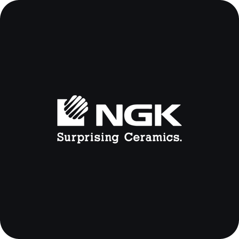 Nálepka NGK logo na auto