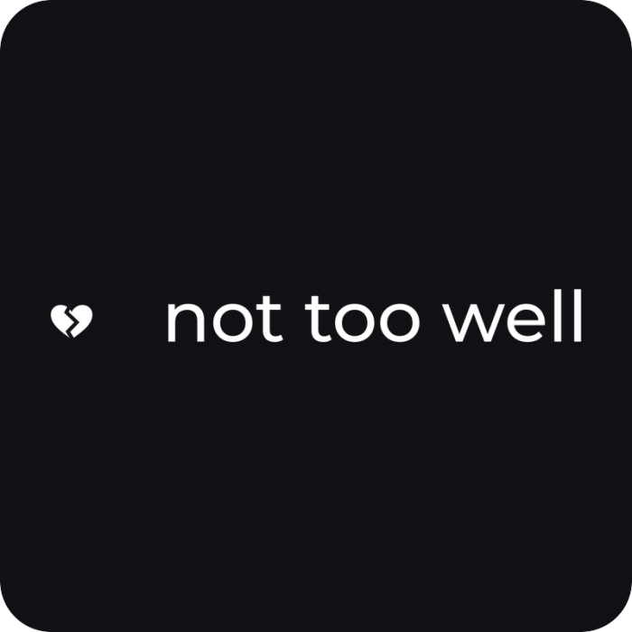 not too well - rezaná nálepka na auto