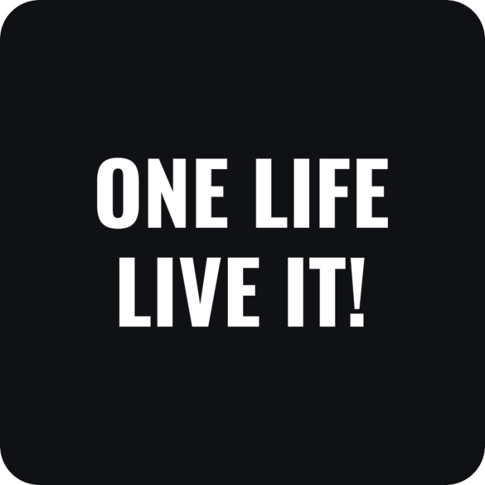 Nálepka One Life Live It - rezaná nálepka na auto