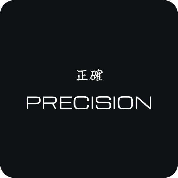 Precision 正確 - rezaná nálepka na auto