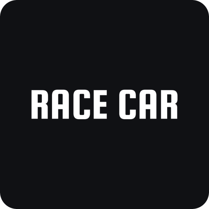 Race Car - rezaná nálepka na auto