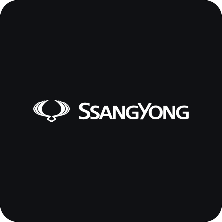 Nálepka SsangYong logo na auto