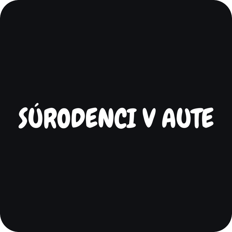 Nálepka Súrodenci v aute Nálepka Súrodenci v aute - rezaná nálepka na auto