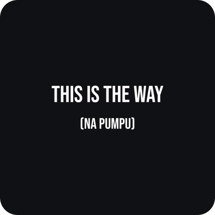 This is the way (na pumpu) - rezaná nálepka na auto