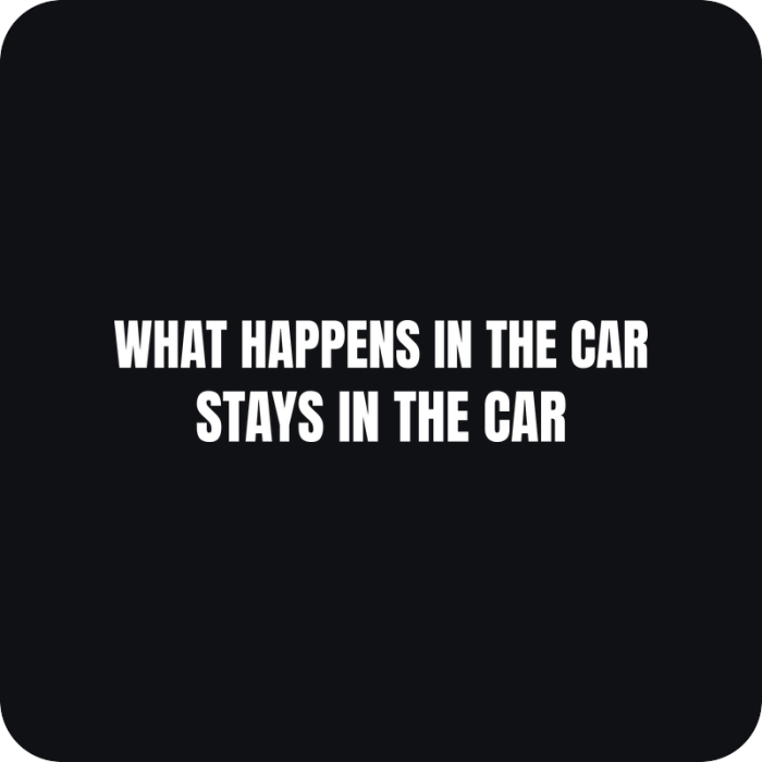 Nálepka What Happens in the Car Stays in the Car - rezaná nálepka na auto