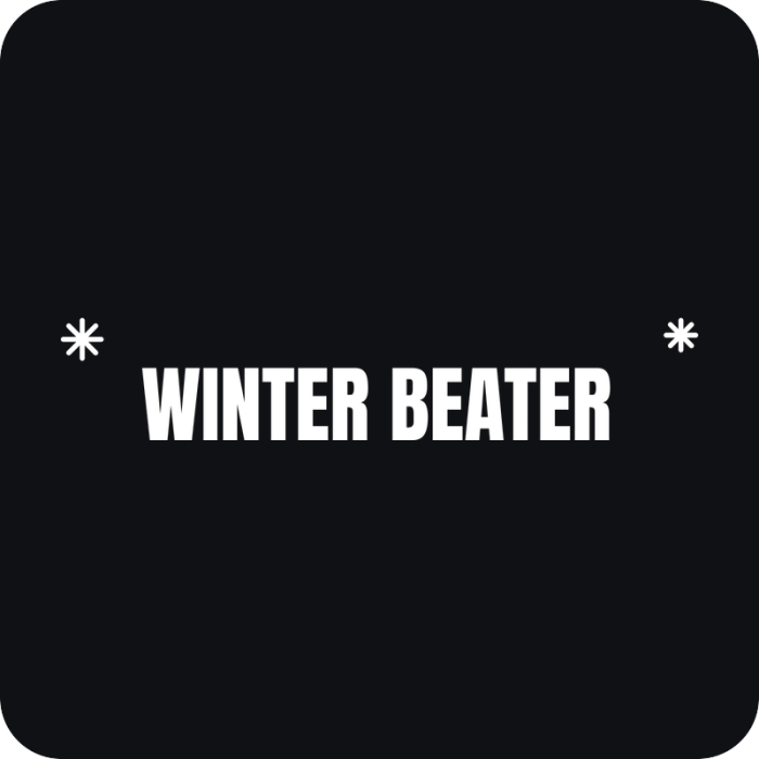 Winter Beater - rezaná nálepka na auto