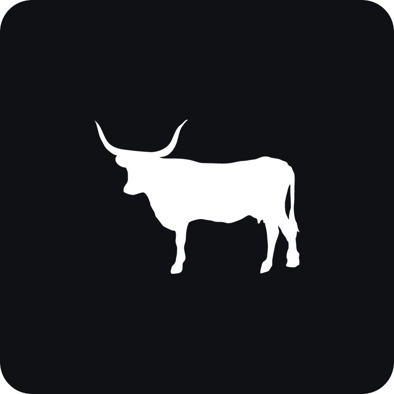 Býk Longhorn Býk Longhorn - rezaná nálepka na auto
